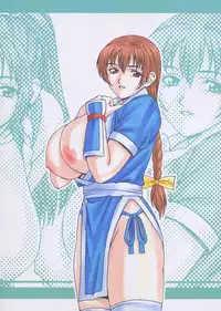 [D-factory (Zouroku)] Karyuudo (Dead or Alive)