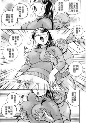 Reijou Maiko ~Kyuuke no Hien~