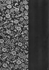 (C59) [Hellabunna (Iruma Kamiri)] INU/AO Preface (Dead or Alive) [English] [Fakku] [Decensored]