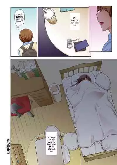 Haru no Semi | Spring Cicada