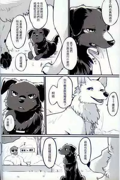 Hakoniwa Jealousy | 箱庭之妒