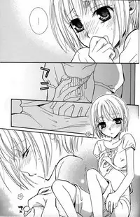 Gokujyo Drops 1 | 极上水果糖