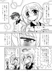 [Red Ribbon Revenger (Hayama, Kamihara Mizuki, Makoushi)] Ore to Char ga Konna ni Midareru Wake ga nai (IS <Infinite Stratos>)