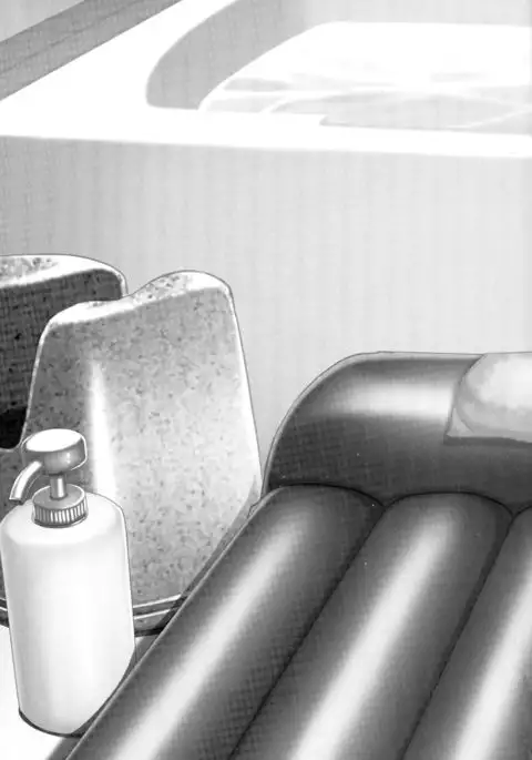 Illustrated Manual of Sex Industry for Beginners With Detailed Explanations of Soaplands