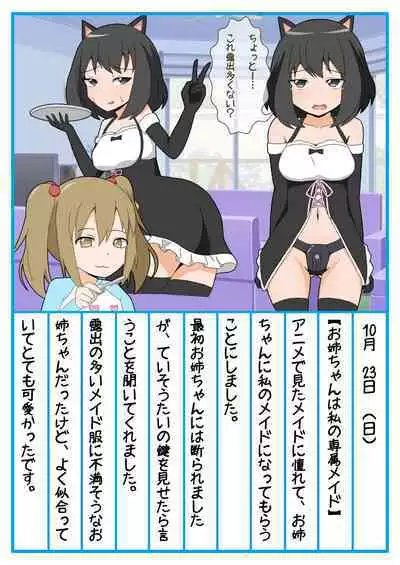 Onee-chan Zecchou Kanri Dorei Choukyou Nikki