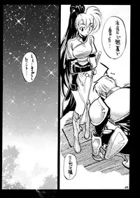 (C71) [GUY-YA (Yamada Shuutarou)] 065 (Fire Emblem Rekka no Ken)