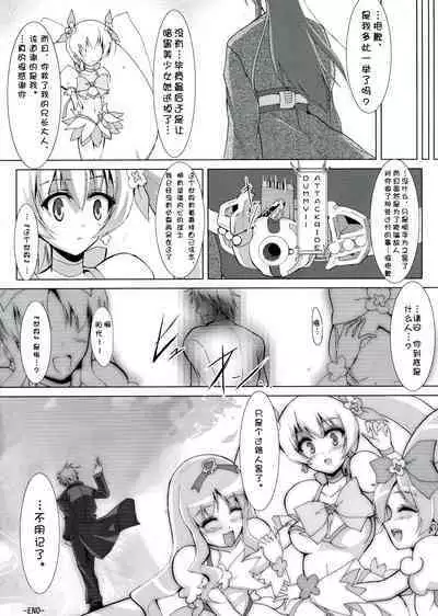 (Puniket 22) [C.R's NEST (Miyabikawa Sakura, C.R)] SILHOUETTE HEART 心的剪影 (HeartCatch Precure!)【Chinese】【个人汉化】