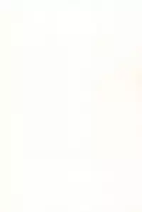 (C93) [EX35 (Kamaboko RED)] Denki no Chikaratte Sugee! (Bakusou Kyoudai Let's & Go!!)