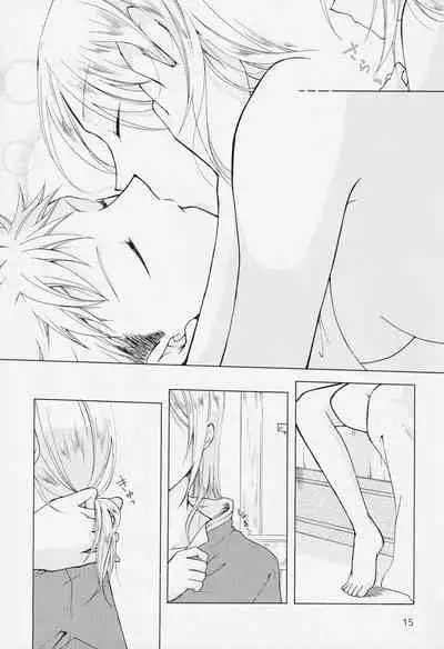 (C95) [Clefs du Paradis (Minakami Atsumu)] Himegoto (Akagami no Shirayukihime)