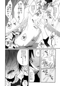 (CCOsaka79) [Zerohaku (Fuji Mako)] BUKURO No Shizuusagi (Durarara!!)