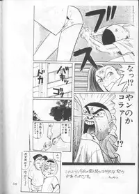 (CR18) [Tail of Nearly (Wakabayashi)] Shadow=Defence (Various)