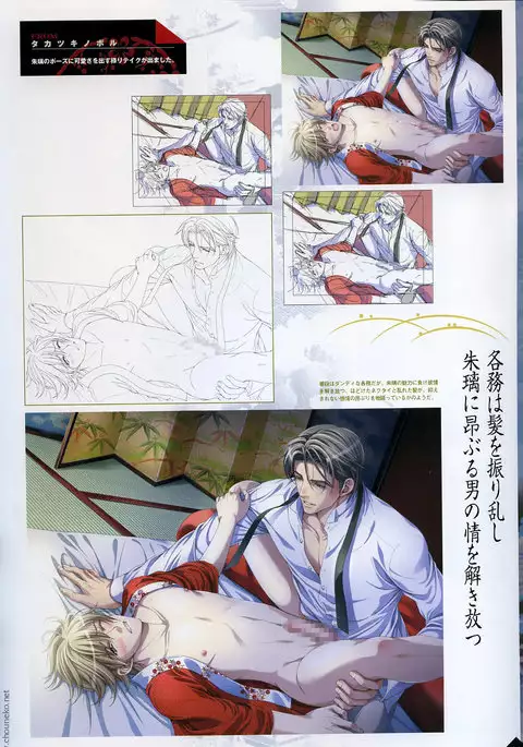 Hanamachi Monogatari Materials