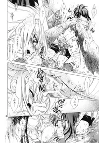 (C61) [Toko-ya (HEIZO, Kitoen)] side:NINA - Ryuu no Me no Fuukei ~ second (Breath Of Fire)