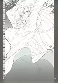 (C78) [Naginata Kikaku (Hirowa Nagi)] RGB18 (Dragon Quest II)