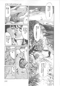 [Yamada Nora] Fruits Girl