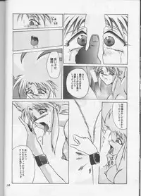 (CR18) [Tail of Nearly (Wakabayashi)] Shadow=Defence (Various)