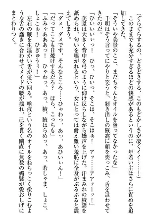 年上メイドの新婚日記