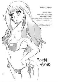 (SC40) [Yakiniku Teikoku (Megumi)] Kyou mo Uchiage Yakiniku ya (Macross Frontier)