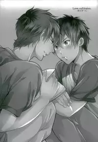 (C87) [Itamidome (Takama)] Love cultivates (Daiya no Ace)