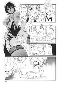 COMIC Shitsurakuten 2009-04 (Incomplete)