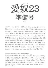 [AB NORMAL (NEW AB)] Aido 23 (Angelic Layer)