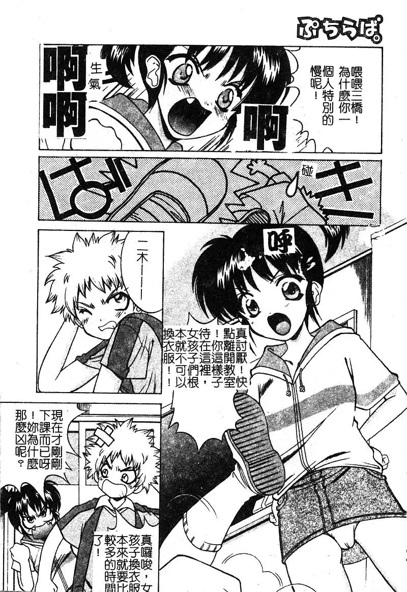 Petit Lover （chinese）