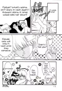 Yasashii Hito no Soba ga Suki Bannou Bunga Neko Musume