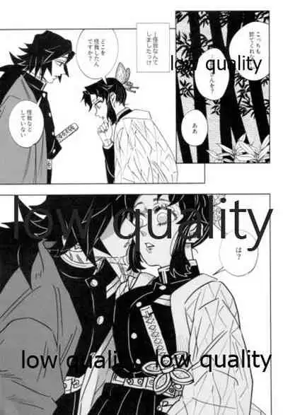 フクシアの花びら