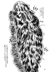 (C78) [Sumomo Dou (Sumomo EX)] Ikenie Seminar | Sacrifice Seminar