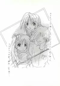 [FINAL EVOLUTION S-RS (ZAN, Chosuke)] VISUAL DESIRE 2 (With You)