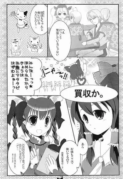 Kissa-Chen Orange Sweets