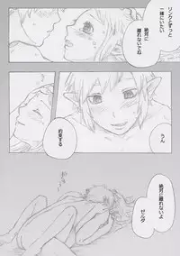 [Butchii] Link and Zelda...