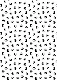 [Ne. (Shiromitsu Daiya)] Kou Ana Hore Wanwan [Digital]