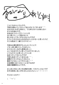 (C76) [Raiden Labo (Raiden)] Tenco (Touhou Project)