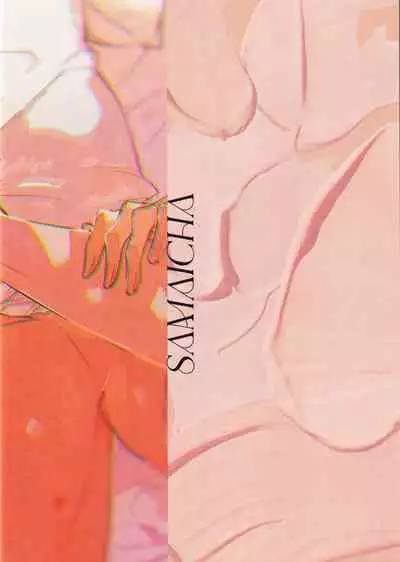 warukunaihi｜不坏的日子