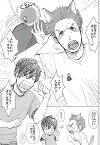 ココ♂掘れわんわんっ！ (ハイキュー!!)