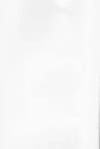 (Douyara Deban no Youda! 8) [SL (Bell)] Natsu to Sora to Kimi to (Boku no Hero Academia)