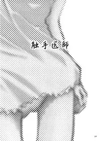 (C75) [Kamemushi (Kaminaru Fuyu)] Syokusyuishi