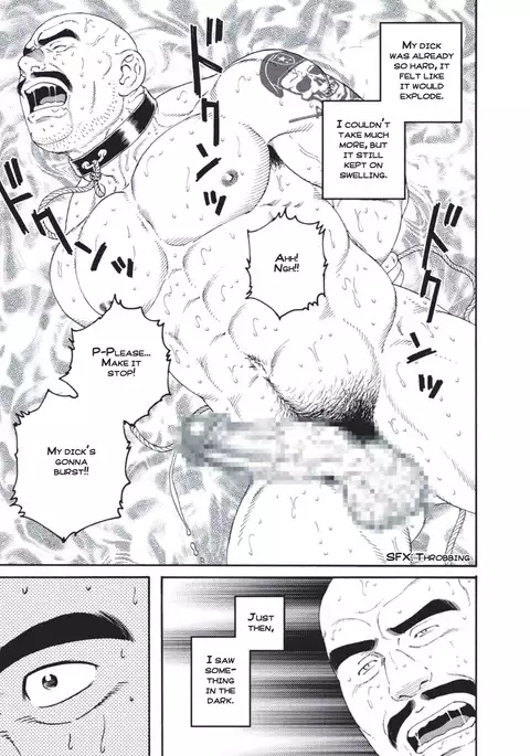 Planet Brobdingnag chapter 3