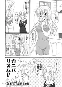(C68) [Hikou Dai 50 Sentai, Kokomashi, Skirthike (Various)] Shirobara Ehon (Maria-sama ga Miteru)