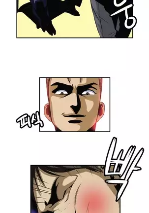 Chauffeur Service Ch.1-30.5