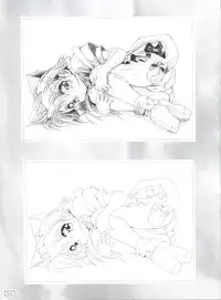 (C53) [AKKAN-Bi PROJECT (Yanagi Hirohiko)] Code Number wa 20 (Cardcaptor Sakura)