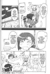 (C72) [Jack-O'-Lantern (EBIFLY, Neriwasabi)] Furi Furi (Final Fantasy XI) [English] [SaHa]