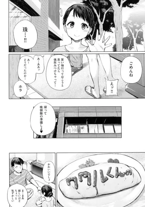 jc-t Haramitai-kei Joshi