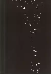 (BORDERLINE4) [ido (Midou)] birth (World Trigger)