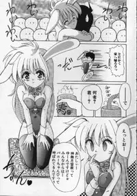 [Hazuki Shishimaru] Ganbare Bunny-chan