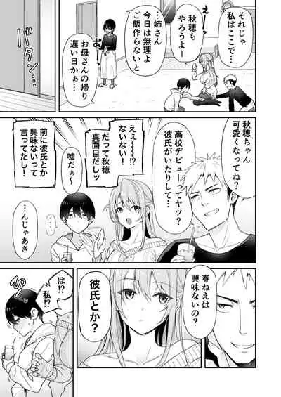 Osananajimi no Onee-san ga Netorareta node, Boku wa Anata no Imouto to Sex shite mo Ii desu ka?