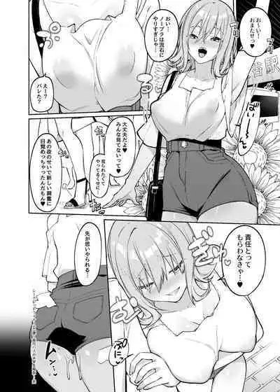 Secret Liner SR1-bin