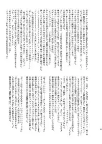 (C77) [FONETRASON (Ryutou)] Shield Knight Elsain Vol.8 "MetalDominator"