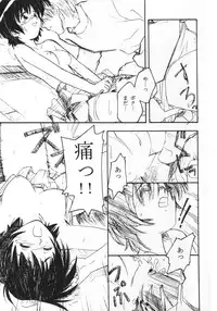 [G-SCAN CORP. & MORIMI-YA] HAND MAIDEN (Hand Maid May)